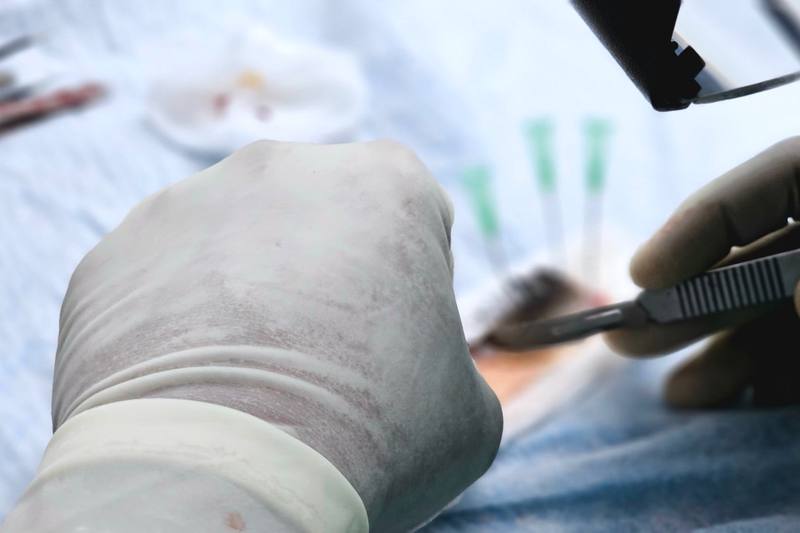 Coromandel Skin & Hair Clinic
